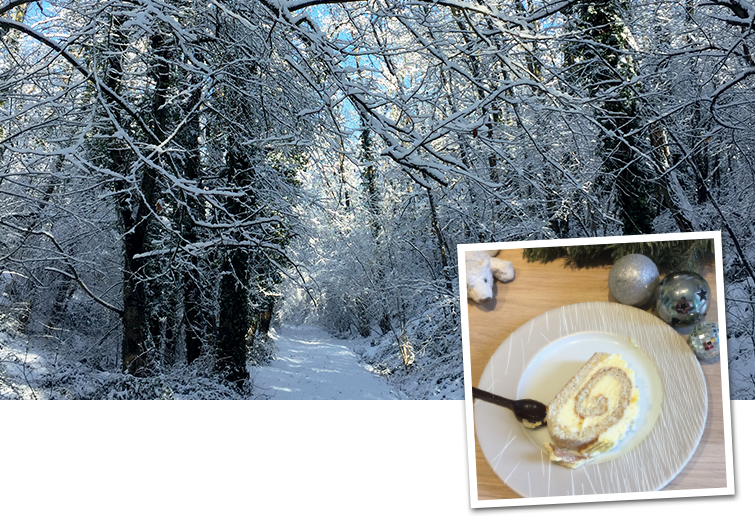 Recette Décembre - Bûche à la vanille