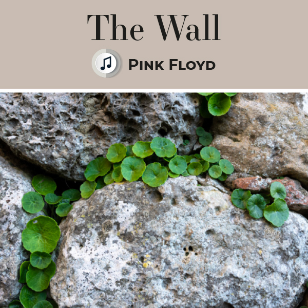Musique mars - The wall - Pink Floyd
